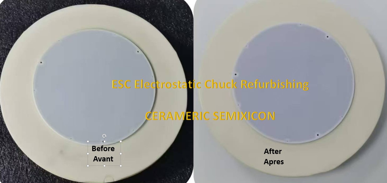 Electrostatic Chuck ESC Repair